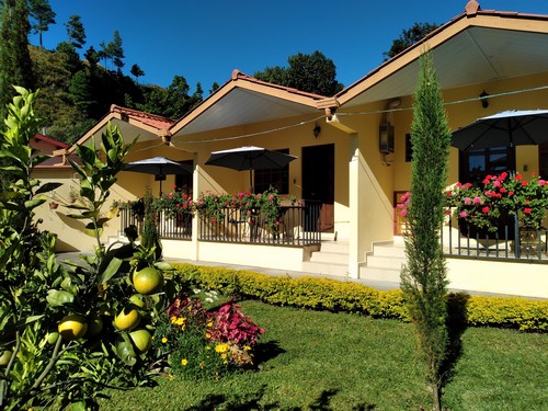Terraces at Aprthotel Boquete with orange bearing trees in the foreground