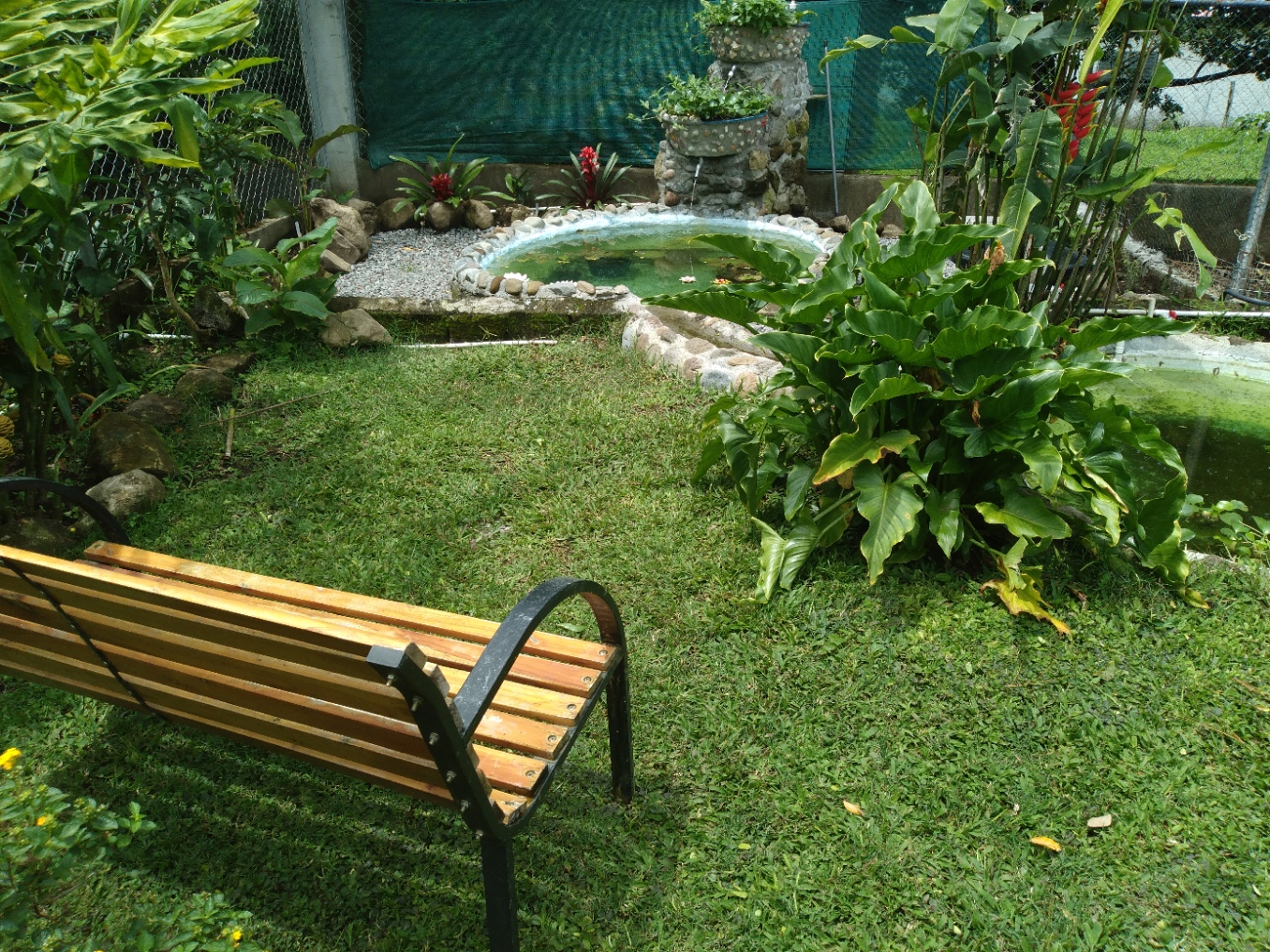 A bank near the fishponds