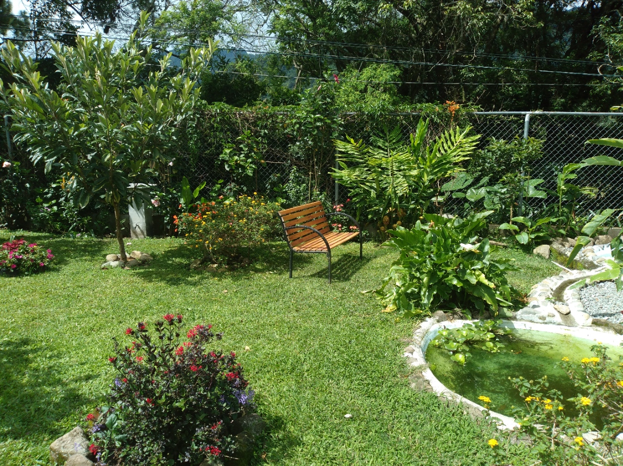 Flowers and tropical plants in the garden of Aparthotel Boquete