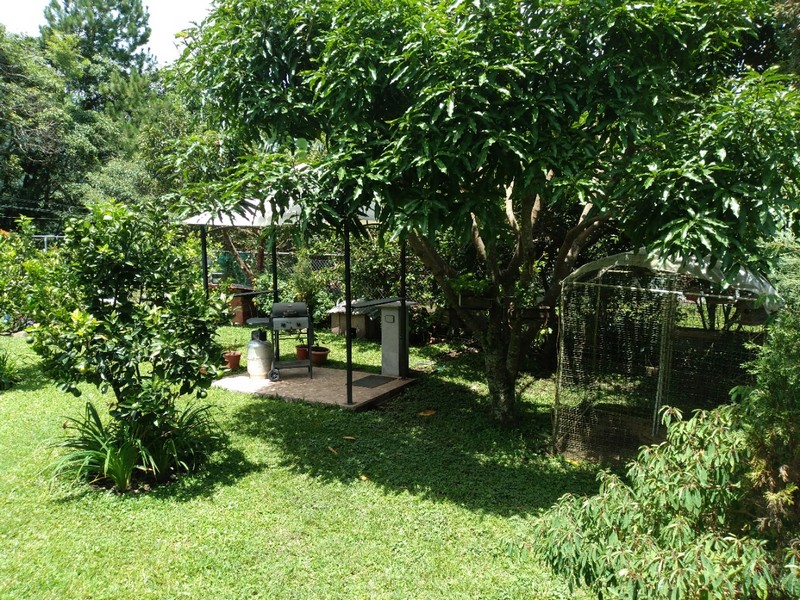 Gazebo with Barbacue and Bird Cage