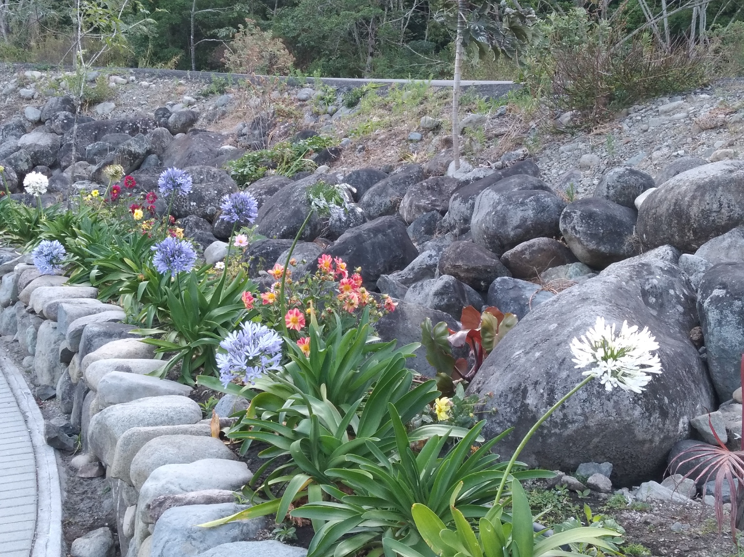 A morning walk through the park