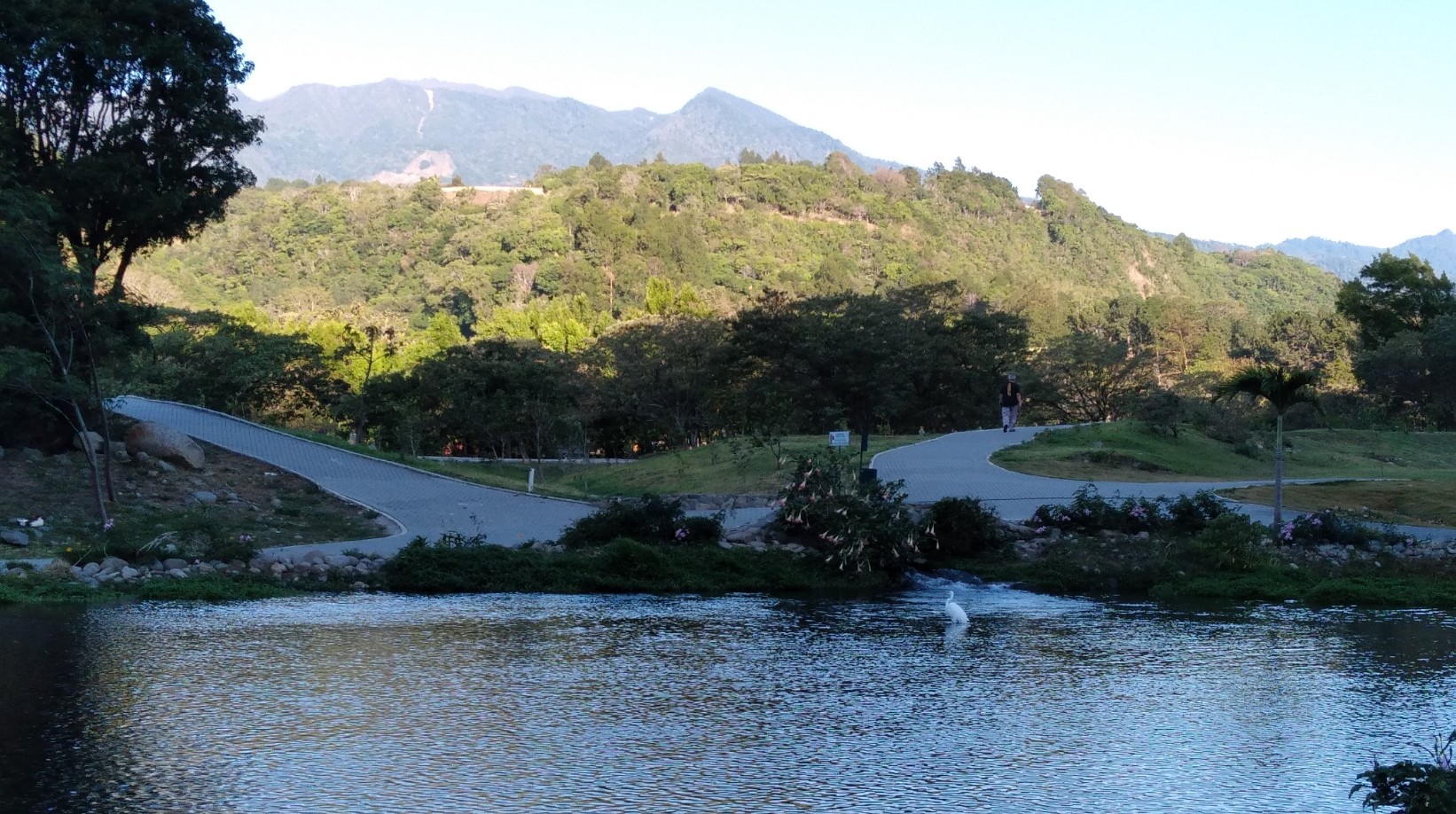 A morning walk through the park