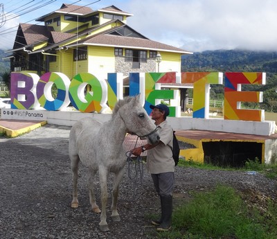 CEFATI building in Alto Boquete with hors in the foreground