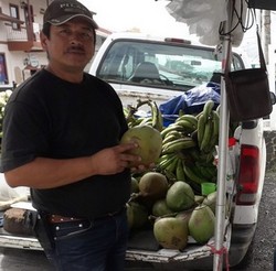 Man selling coconut water on the main street in Boquete