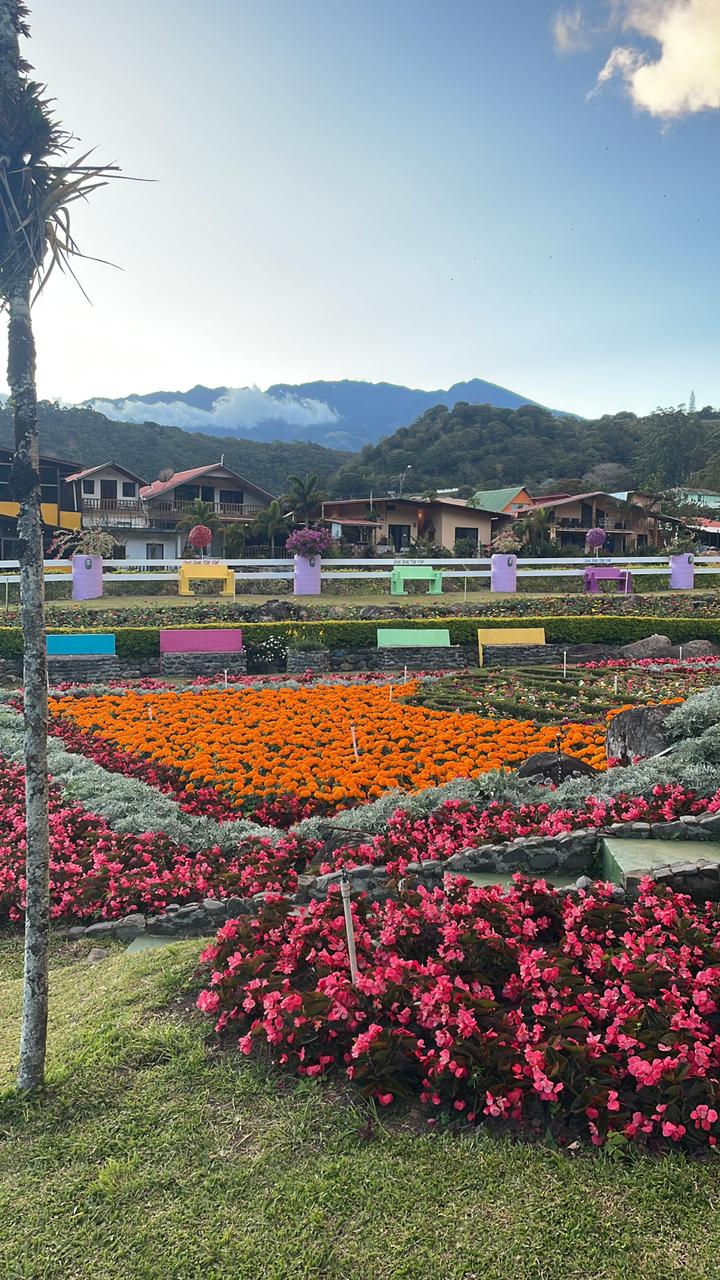 Flower beds at Boquete Feria del Café y de las Flores 2023