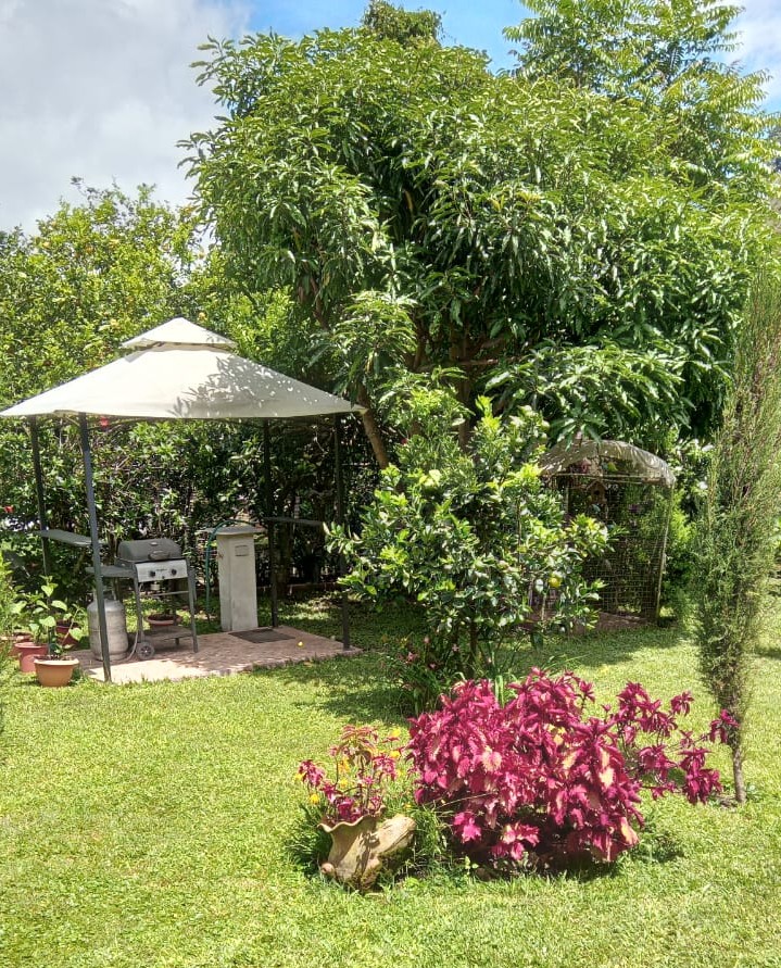 The old barbecue under the gazebo